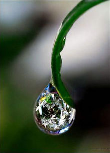 drop-of-water